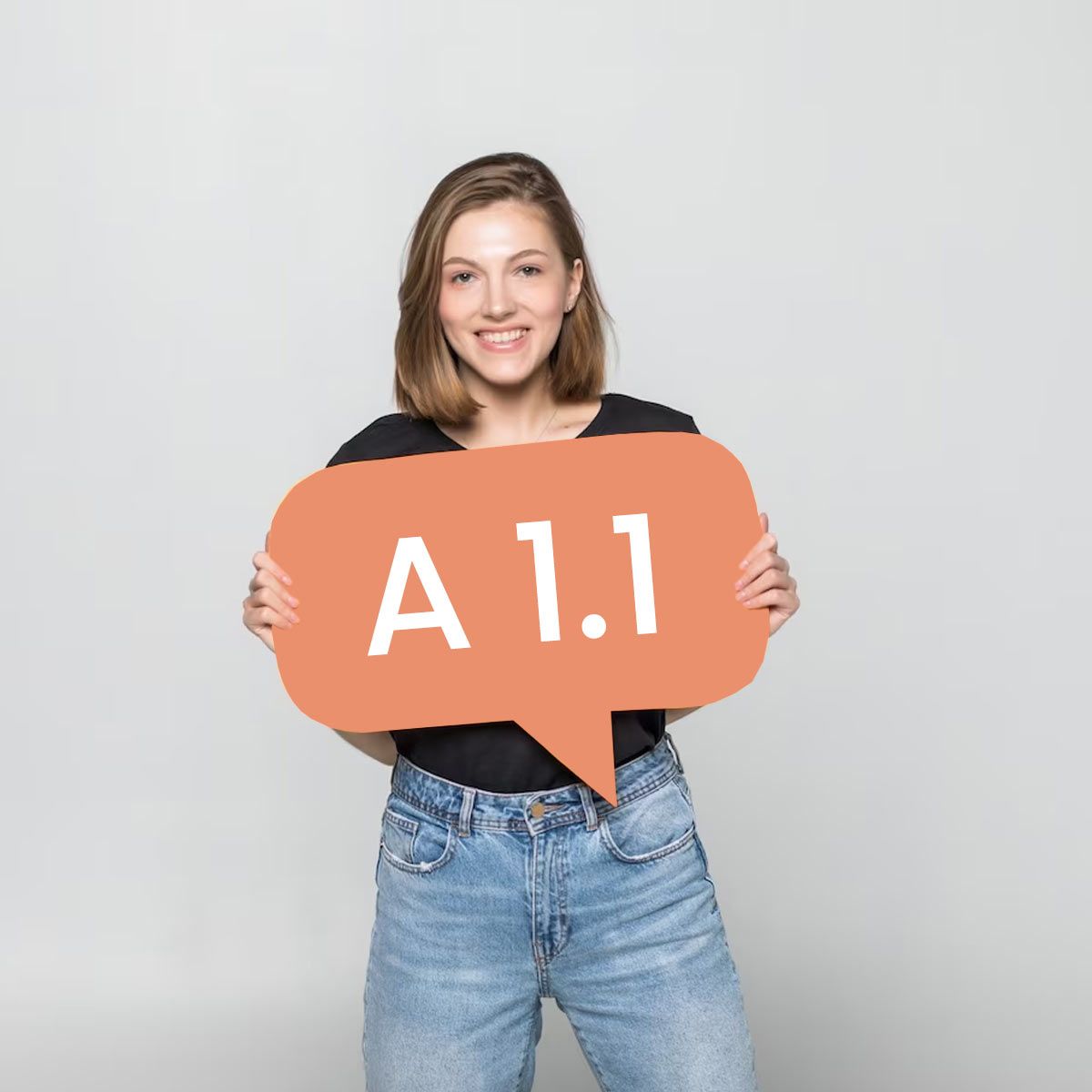 Curso de español online nivel inicial A1.1. Curso de español online para adultos de 30 horas de duración.