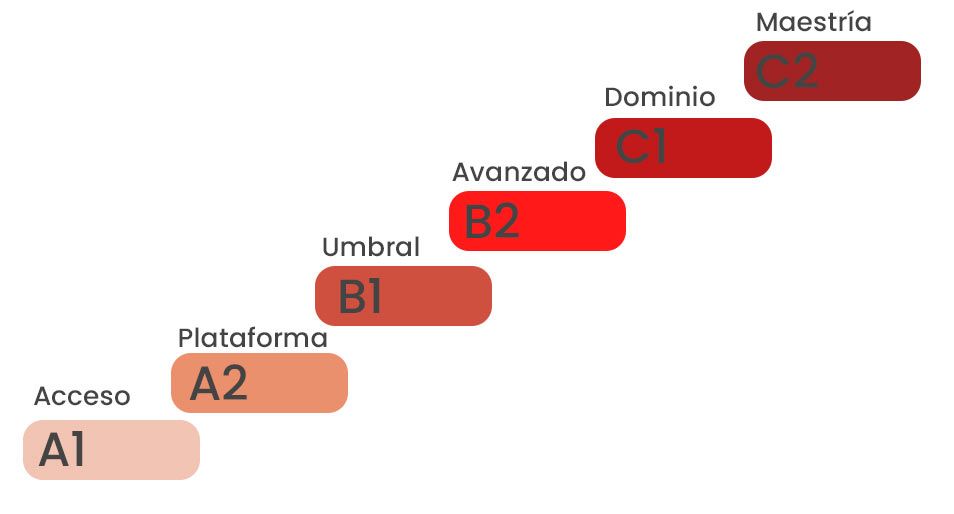 Niveles del español según el Marco Común Europeo de Referencia para las Lenguas.