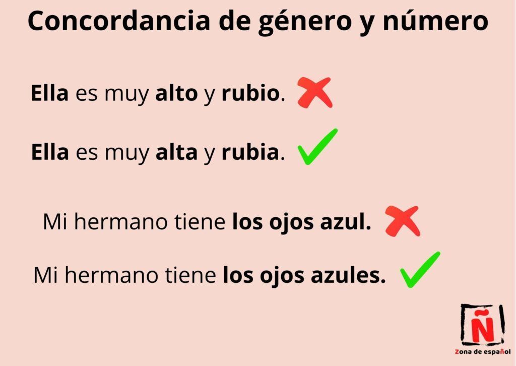 Los errores más comunes al hablar español y cómo evitarlos: concordancia de género y número.
Ella es muy alto (incorrecto). Ella es muy alta (correcto). 
Mi hermano tiene los ojos azul (incorrecto). Mi hermano tiene los ojos azules (correcto).